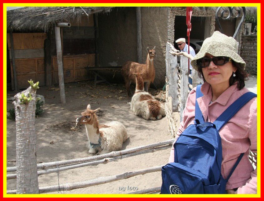 Ecuador 169_tn.jpg